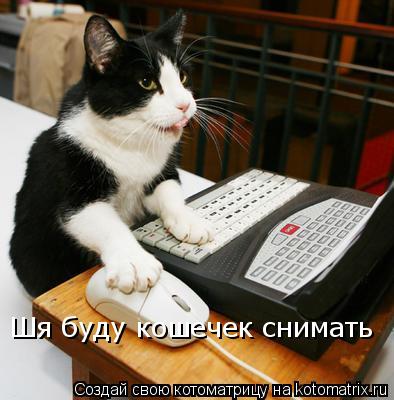 Шя буду кошечек снимать... Котоматрица: Шя буду кошечек снимать