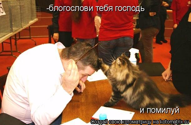 -блогослови тебя господь и помилуй... Котоматрица: -блогослови тебя господь и помилуй