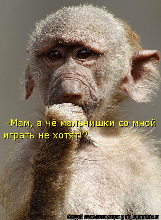 -Мам, а чё мальчишки со мной играть не хотят!?... Котоматрица: -Мам, а чё мальчишки со мной играть не хотят!?