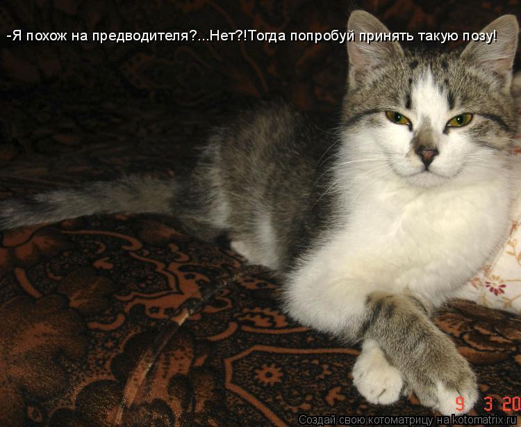 -Я похож на предводителя?...Нет?!Тогда попробуй принять такую позу!... Котоматрица: -Я похож на предводителя?...Нет?!Тогда попробуй принять такую позу!