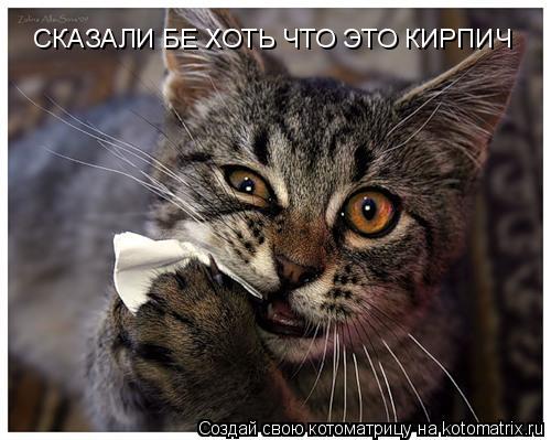 СКАЗАЛИ БЕ ХОТЬ ЧТО ЭТО КИРПИЧ СКАЗАЛИ БЕ ХОТЬ ЧТО ЭТО КИРПИЧ... Котоматрица: СКАЗАЛИ БЕ ХОТЬ ЧТО ЭТО КИРПИЧ СКАЗАЛИ БЕ ХОТЬ ЧТО ЭТО КИРПИЧ