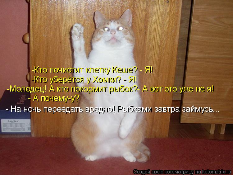 -Кто почистит клетку Кеше? - Я! -Кто уберётся у Хомки? - Я! -Молодец! А кто покормит рыбок?- А вот эт... Котоматрица: -Кто почистит клетку Кеше? - Я! -Кто уберётся у Хомки? - Я! -Молодец! А кто покормит рыбок?- А вот это уже не я! - А почему-у? - На ночь переедать вре