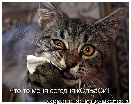 Что то меня сегодня кОлБаСиТ!!!... Котоматрица: Что то меня сегодня кОлБаСиТ!!!