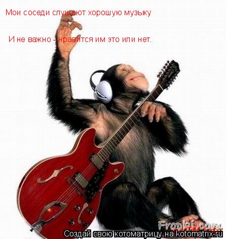 Мои соседи слушают хорошую музыку И не важно - нравится им это или нет.... Котоматрица: Мои соседи слушают хорошую музыку И не важно - нравится им это или нет.