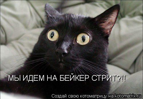 МЫ ИДЕМ НА БЕЙКЕР СТРИТ?!!... Котоматрица: МЫ ИДЕМ НА БЕЙКЕР СТРИТ?!!