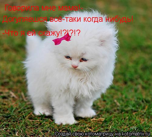 Говорила мне мама!- Догуляешся всё-таки когда нибудь! -Что я ей скажу!?!?!?... Котоматрица: Говорила мне мама!- Догуляешся всё-таки когда нибудь! -Что я ей скажу!?!?!?