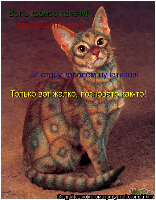 Котоматрица: Вот в космос полечу! И полечу на луну! И стану королём лунатиков! Только вот жалко, позновато как-то!