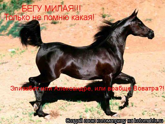 Котоматрица: БЕГУ МИЛАЯ!!! Только не помню какая! Элизабет или Александре, или воабще Воватра?!