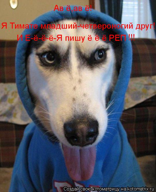 Котоматрица: Ав ё,ав ё! Я Тимате младший-четвероногий друг!  И Е-ё-ё-ё-Я пишу ё ё ё РЕП !!!