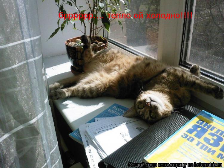 Котоматрица: брррррр.... тепло ой холодно!!!! брррррр.... тепло ой холодно!!!!