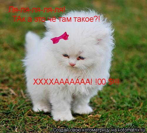 Котоматрица: Ля-ля-ля-ля-ля! ТАк а это чё там такое?! ХХХХААААААА! !00 $!!!