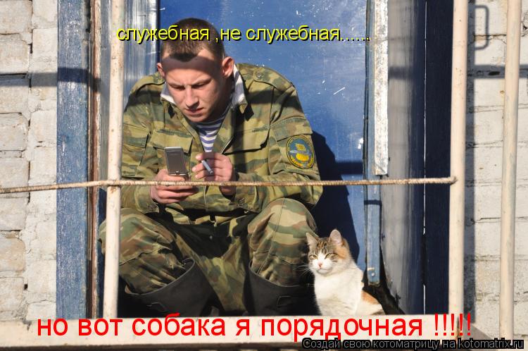 служебная ,не служебная...... но вот собака я порядочная !!!!!... Котоматрица: служебная ,не служебная...... но вот собака я порядочная !!!!!