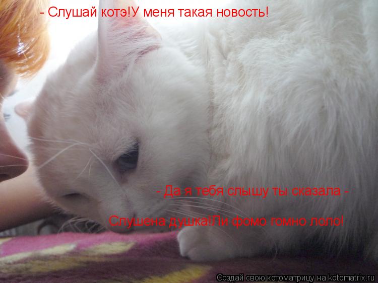 Котоматрица: - Слушай котэ!У меня такая новость!  - Да я тебя слышу ты сказала -    Слушена душка!Ли фомо гомно лоло!