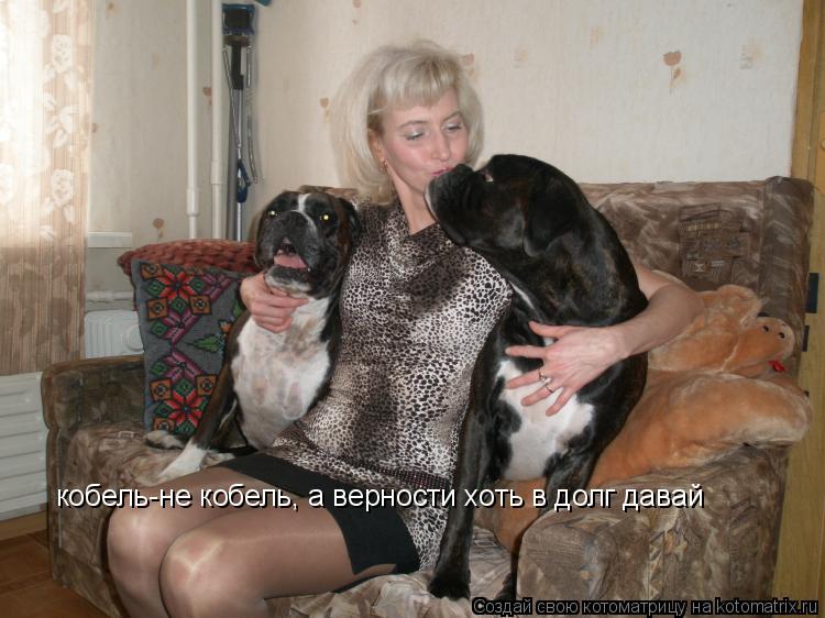 Котоматрица: кобель-не кобель, а верности хоть в долг давай