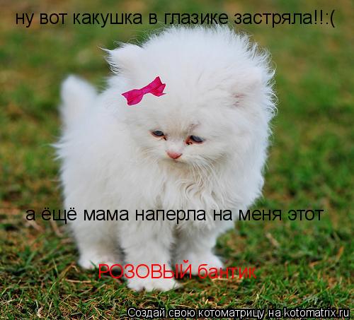 ну вот какушка в глазике застряла!!:( а ёщё мама наперла на меня этот РОЗОВЫЙ бантик... Котоматрица: ну вот какушка в глазике застряла!!:( а ёщё мама наперла на меня этот РОЗОВЫЙ бантик