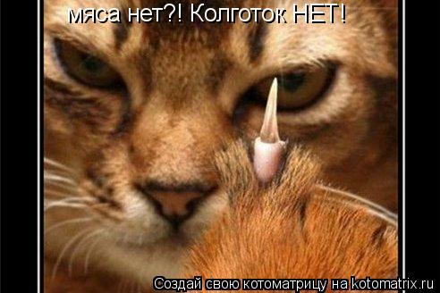 мяса нет?! Колготок НЕТ!... Котоматрица: мяса нет?! Колготок НЕТ!