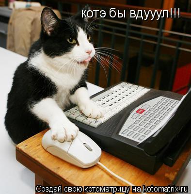 котэ бы вдууул!!!... Котоматрица: котэ бы вдууул!!!