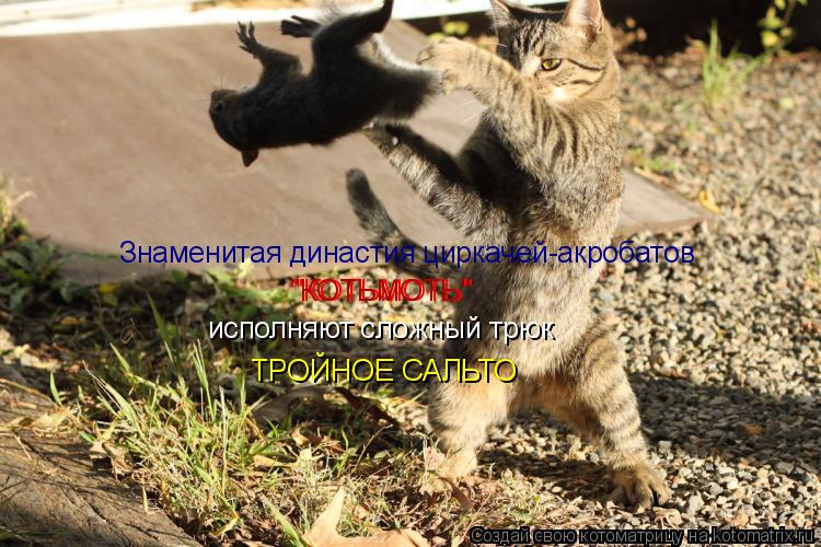 Знаменитая династия циркачей-акробатов "КОТЬМОТЬ" "КОТЬМОТЬ" исполняют сложный трюк ТРОЙНОЕ САЛЬТО... Котоматрица: Знаменитая династия циркачей-акробатов "КОТЬМОТЬ" "КОТЬМОТЬ" исполняют сложный трюк ТРОЙНОЕ САЛЬТО