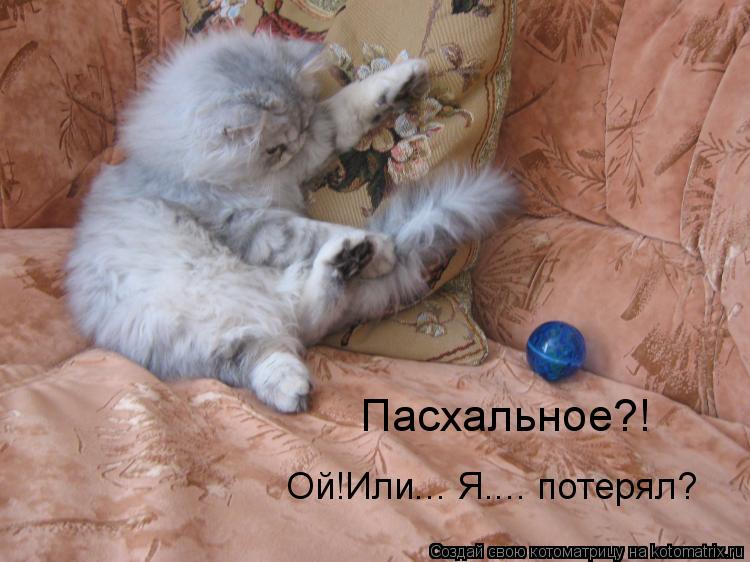 Пасхальное?! Ой!Или... Я.... потерял?... Котоматрица: Пасхальное?! Ой!Или... Я.... потерял?