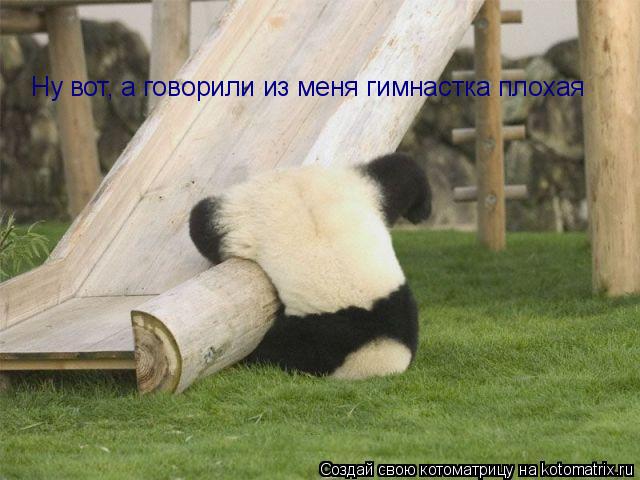Ну вот, а говорили из меня гимнастка плохая... Котоматрица: Ну вот, а говорили из меня гимнастка плохая