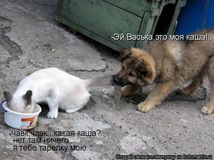 -Эй,Васька,это моя каша!.. -чавк,чавк...какая каша? нет там ничего... я тебе тарелку мою...... Котоматрица: -Эй,Васька,это моя каша!.. -чавк,чавк...какая каша? нет там ничего... я тебе тарелку мою...