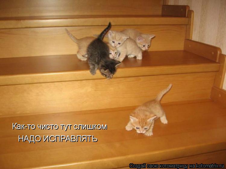 Как-то чисто тут слишком НАДО ИСПРАВЛЯТЬ... Котоматрица: Как-то чисто тут слишком НАДО ИСПРАВЛЯТЬ