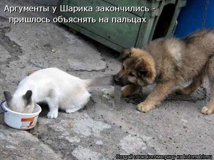 Аргументы у Шарика закончились - пришлось объяснять на пальцах... Котоматрица: Аргументы у Шарика закончились - пришлось объяснять на пальцах