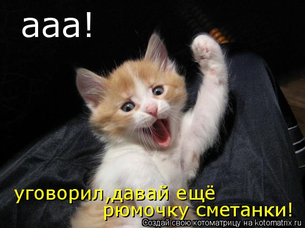 ааа! уговорил,давай ещё рюмочку сметанки!... Котоматрица: ааа! уговорил,давай ещё рюмочку сметанки!