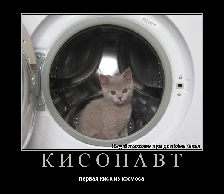 КИСОНАВТ первая киса из космоса... Котоматрица: КИСОНАВТ первая киса из космоса