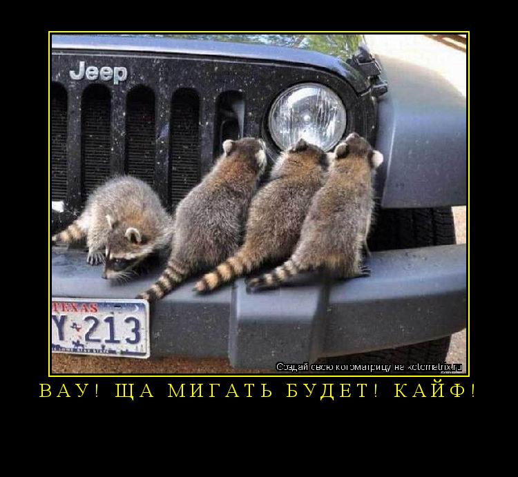 ... Котоматрица: