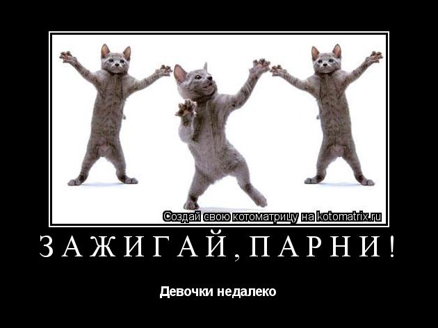 Зажигай,парни! Девочки недалеко... Котоматрица: Зажигай,парни! Девочки недалеко