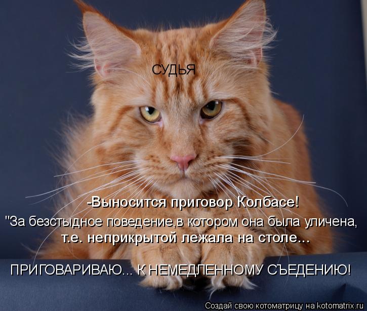 СУДЬЯ "За безстыдное поведение,в котором она была уличена, -Выносится приговор Колбасе! т.е. неприкры... Котоматрица: СУДЬЯ "За безстыдное поведение,в котором она была уличена, -Выносится приговор Колбасе! т.е. неприкрытой лежала на столе... ПРИГОВАРИВАЮ... К Н