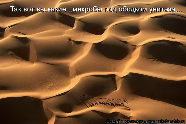 Так вот вы какие...микробы под ободком унитаза...... Котоматрица: Так вот вы какие...микробы под ободком унитаза...