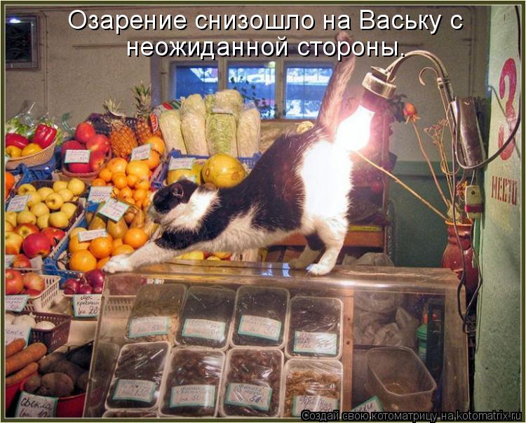 Озарение снизошло на Ваську с неожиданной стороны.... Котоматрица: Озарение снизошло на Ваську с неожиданной стороны.