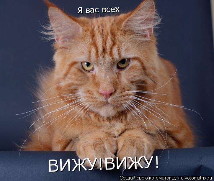 Я вас всех ВИЖУ!ВИЖУ!... Котоматрица: Я вас всех ВИЖУ!ВИЖУ!