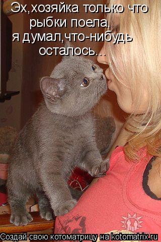 Эх,хозяйка только что рыбки поела, я думал,что-нибудь осталось...... Котоматрица: Эх,хозяйка только что рыбки поела, я думал,что-нибудь осталось...