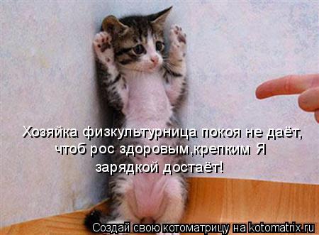 Хозяйка физкультурница покоя не даёт, чтоб рос здоровым,крепким Я зарядкой достаёт!... Котоматрица: Хозяйка физкультурница покоя не даёт, чтоб рос здоровым,крепким Я зарядкой достаёт!