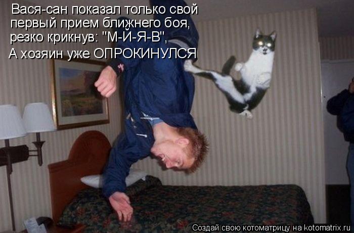 Вася-сан показал только свой первый прием ближнего боя, резко крикнув: "М-Й-Я-В", А хозяин уже ОПРОКИ... Котоматрица: Вася-сан показал только свой первый прием ближнего боя, резко крикнув: "М-Й-Я-В", А хозяин уже ОПРОКИНУЛСЯ