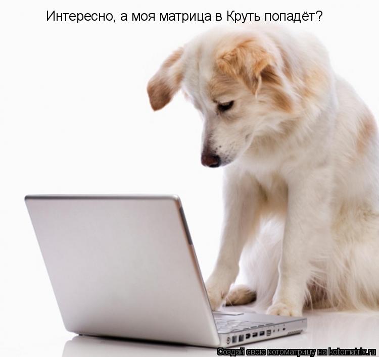 Интересно, а моя матрица в Круть попадёт?... Котоматрица: Интересно, а моя матрица в Круть попадёт?