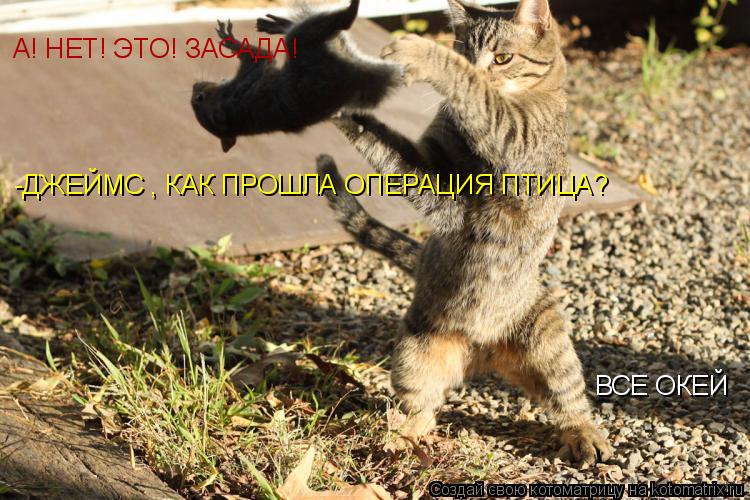 -ДЖЕЙМС , КАК ПРОШЛА ОПЕРАЦИЯ ПТИЦА? А! НЕТ! ЭТО! ЗАСАДА! ВСЕ ОКЕЙ... Котоматрица: -ДЖЕЙМС , КАК ПРОШЛА ОПЕРАЦИЯ ПТИЦА? А! НЕТ! ЭТО! ЗАСАДА! ВСЕ ОКЕЙ