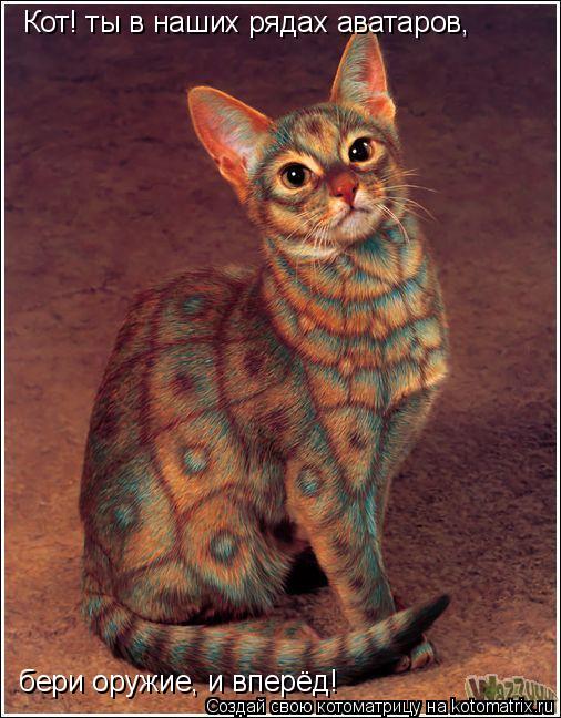 Кот! ты в наших рядах аватаров, бери оружие, и вперёд!... Котоматрица: Кот! ты в наших рядах аватаров, бери оружие, и вперёд!