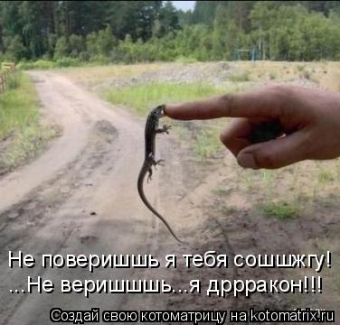 ...Не веришшшь...я дррракон!!! ...Не веришшшь...я дррракон!!! Не поверишшь я тебя сошшжгу!... Котоматрица: ...Не веришшшь...я дррракон!!! ...Не веришшшь...я дррракон!!! Не поверишшь я тебя сошшжгу!