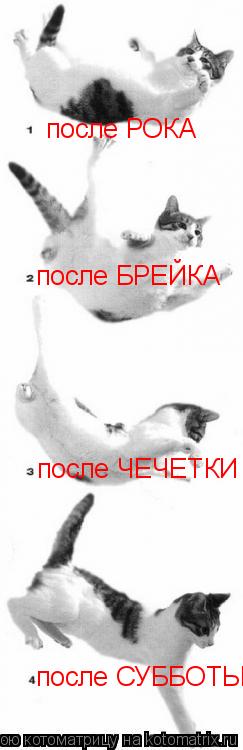 после РОКА после БРЕЙКА после ЧЕЧЕТКИ после СУББОТЫ... Котоматрица: после РОКА после БРЕЙКА после ЧЕЧЕТКИ после СУББОТЫ