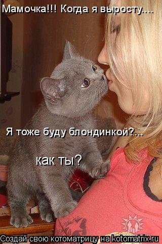 Котоматрица: Мамочка!!! Когда я выросту.... как ты? Я тоже буду блондинкой?...