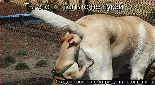 Ты это......только не пукай... Котоматрица: Ты это......только не пукай