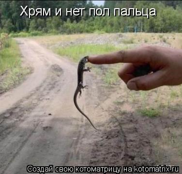 Хрям и нет пол пальца... Котоматрица: Хрям и нет пол пальца