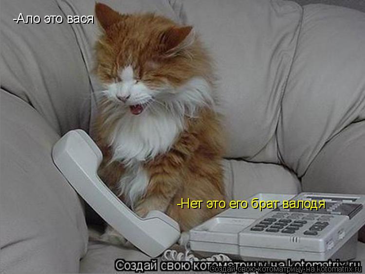 -Ало это вася -Нет это его брат валодя -Нет это его брат валодя... Котоматрица: -Ало это вася -Нет это его брат валодя -Нет это его брат валодя