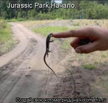 Jurassic Park.Начало.... Котоматрица: Jurassic Park.Начало.