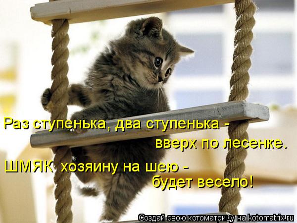 Раз ступенька, два ступенька - вверх по лесенке. ШМЯК хозяину на шею - будет весело!... Котоматрица: Раз ступенька, два ступенька - вверх по лесенке. ШМЯК хозяину на шею - будет весело!