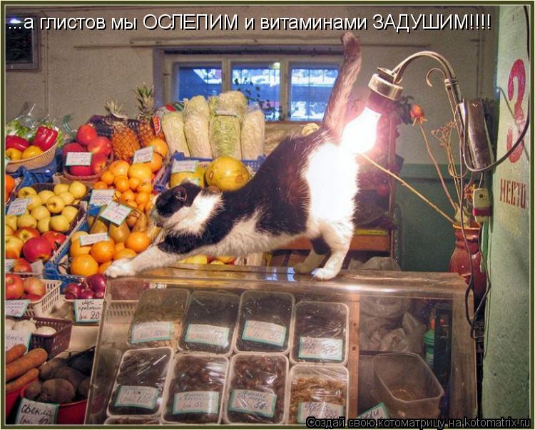 ...а глистов мы ОСЛЕПИМ и витаминами ЗАДУШИМ!!!!... Котоматрица: ...а глистов мы ОСЛЕПИМ и витаминами ЗАДУШИМ!!!!